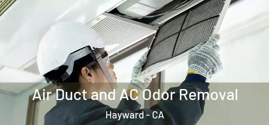 Air Duct and AC Odor Removal Hayward - CA