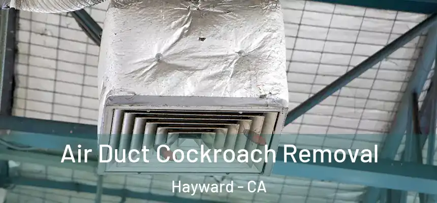  Air Duct Cockroach Removal Hayward - CA