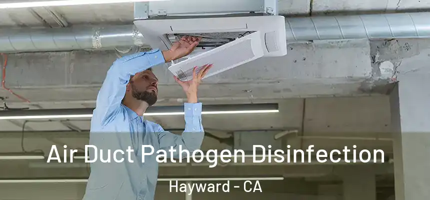 Air Duct Pathogen Disinfection Hayward - CA