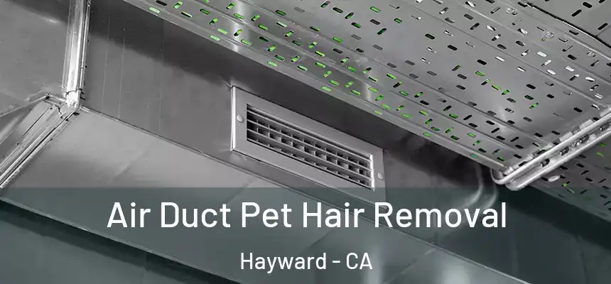 Air Duct Pet Hair Removal Hayward - CA