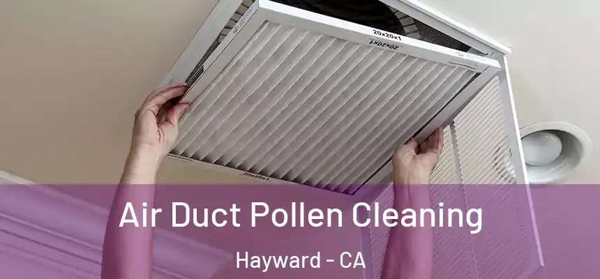  Air Duct Pollen Cleaning Hayward - CA