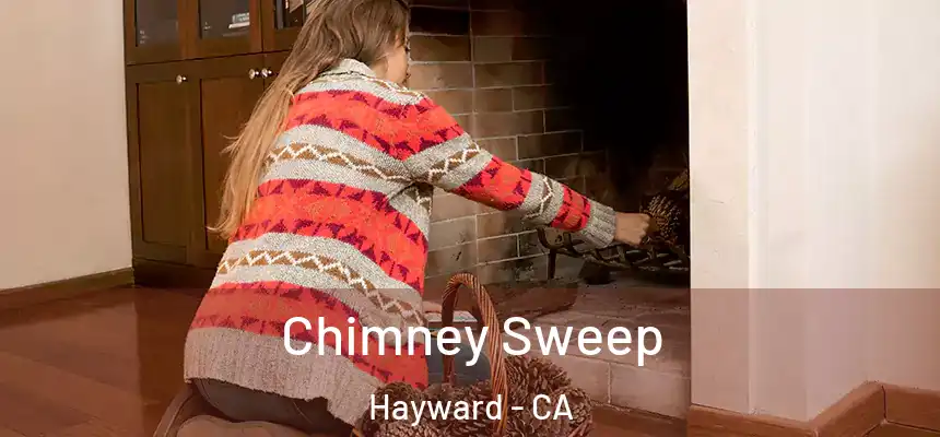 Chimney Sweep Hayward - CA