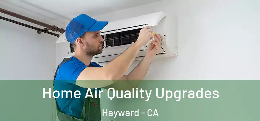 Home Air Quality Upgrades Hayward - CA