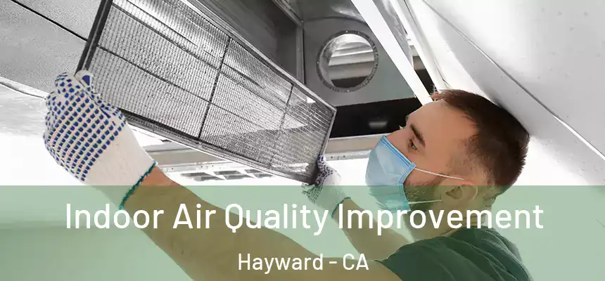 Indoor Air Quality Improvement Hayward - CA