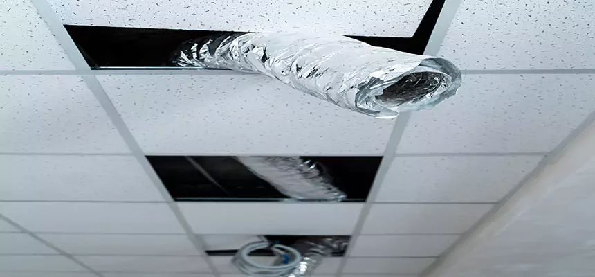 Our Air Duct Pet Hair Removal Services in Hayward, CA