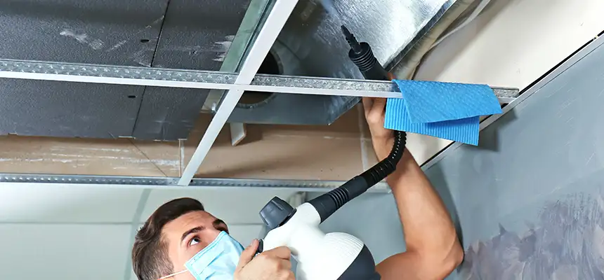 Our Air Duct Rodent Removal Services in Hayward, CA
