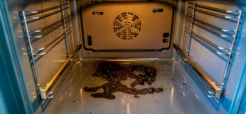 Our Dryer Vent Mold Cleaning Services in Hayward, CA