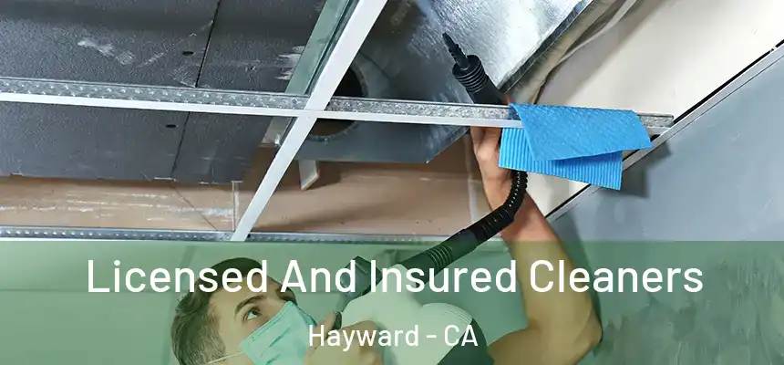 Licensed And Insured Cleaners Hayward - CA