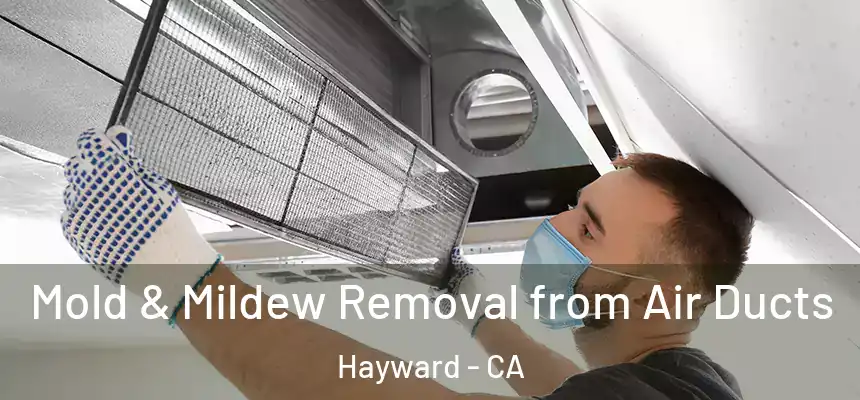  Mold & Mildew Removal from Air Ducts Hayward - CA