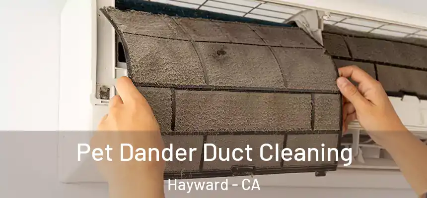 Pet Dander Duct Cleaning Hayward - CA