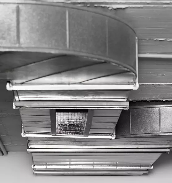 Professional Air Duct Pest Removal in Hayward, CA