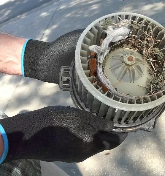 About Air Duct Rat Removal in Hayward, CA