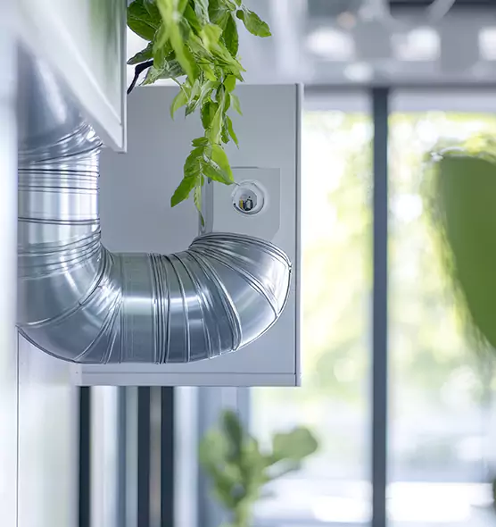 Professional Eco-Safe Dryer Vent Cleaning in Hayward, CA