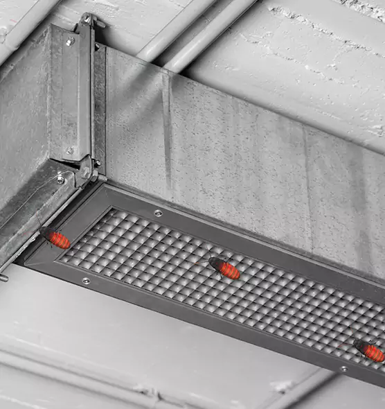 Affordable Insect Removal from Air Ducts in Hayward, CA