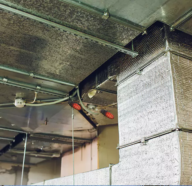 Why Homeowners & Businesses Trust Us in Hayward, CA?