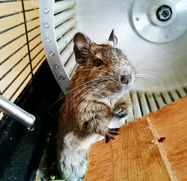 Why Homeowners & Businesses Trust Us Hayward, CA