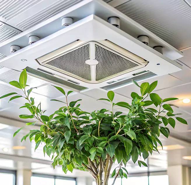 Why Homeowners & Businesses Trust Us in Hayward, CA?