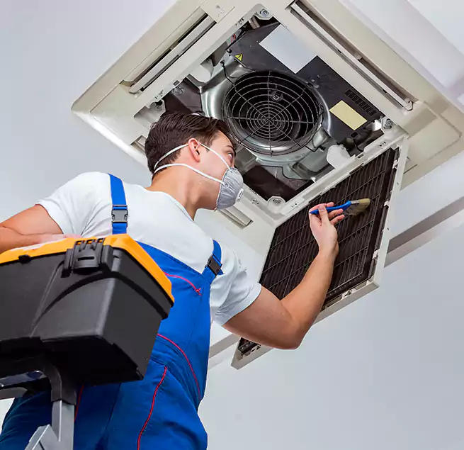 Why Homeowners & Businesses Trust Us in Hayward, CA?