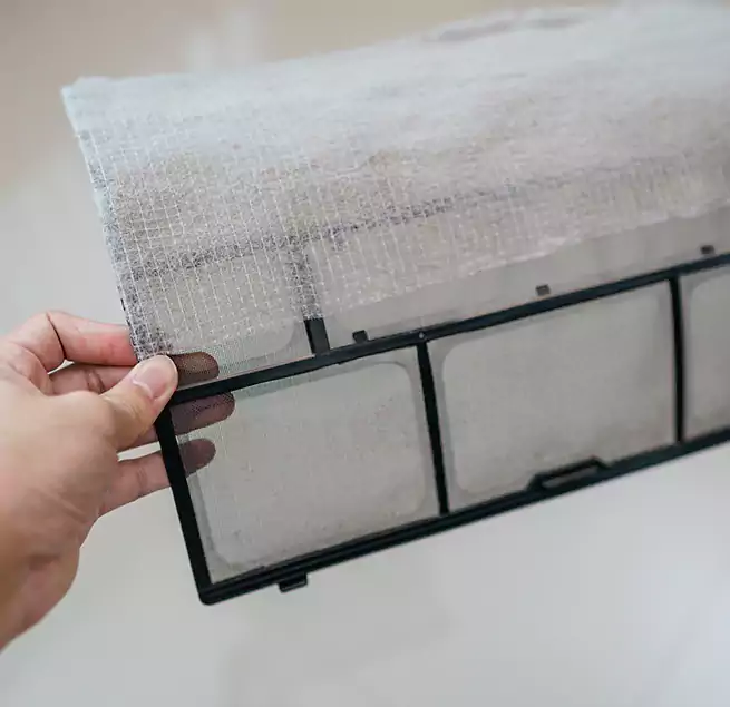 Why Homeowners & Businesses Trust Us in Hayward, CA?