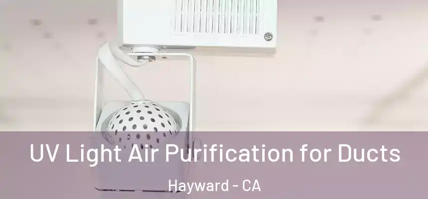 UV Light Air Purification for Ducts Hayward - CA